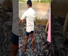 माझं गाव माझा जिल्हा | राज्याच्या कानाकोपऱ्यातील बातम्यांचा आढावा | ABP Majha