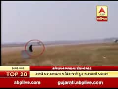 અમદાવાદ એરપોર્ટ પર વાંદરા ભગાડવા શું અજમાવાયો કિમીયો? જોઇને રહી જશો દંગ