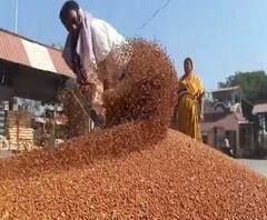 Special Report | सरकारच्या निष्क्रियतेचा शेतकऱ्यांना फटका, तूर डाळ खरेदी केंद्र अद्यापही बंद | ABP Majha