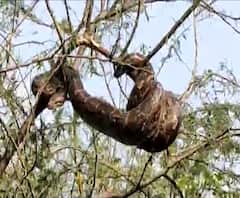 Rural News | माझं गाव माझा जिल्हा | राज्याच्या कानाकोपऱ्यातील बातम्यांचा आढावा | ABP Majha