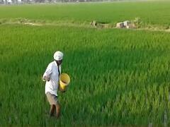 यूरिया-मनरेगा पर बजट आवंटन कम, सरकार का फैसला कितना सही ? Master Stroke