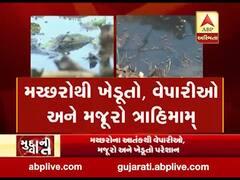 મુદ્દાની વાતઃ મચ્છરોના ત્રાસથી રાજકોટ માર્કેટિંગ યાર્ડના વેપારીઓ પરેશાન, યાર્ડ બંધ કરવાની ચિમકી, જુઓ વીડિયો 