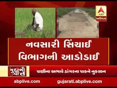 મુદ્દાની વાતઃ નવસારીમાં ડાંગરના પાક પર ખતરો, જુઓ અહેવાલ 