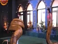 Naagin 4: Brinda gets exposed, Dev knows all about her