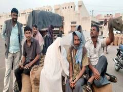 રાજકોટઃ બેડી ગામમાં મચ્છરોનો ઉપદ્રવ યથાવત, જુઓ વીડિયો