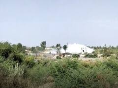 બોટાદઃ બરવાળા પાસે પાણીની લાઈનમાં ભંગાણ, જુઓ વીડિયો