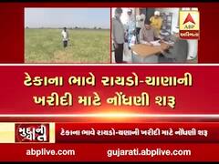 મુદ્દાની વાતઃ ટેકાના ભાવે રાયડો-ચાણની ખરીદી માટે નોંધણી શરૂ, જુઓ અહેવાલ 