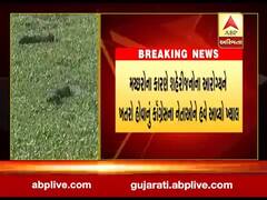 રાજકોટના બેડી વિસ્તારમાં મચ્છરોના ત્રાસ, કોંગ્રેસે શું લગાવ્યો આક્ષેપ? જુઓ વીડિયો