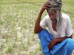 મહીસાગરઃ કેનાલના પાણી ખેતરમાં ઘૂસતા પાક થઈ ગયો બરબાદ, જુઓ વીડિયો