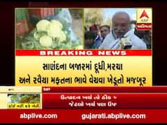 અમદાવાદ: શાકભાજીના ભાવ ન મળતા મફતના ભાવે વેચવા ખેડૂતો મજબૂર ? જુઓ વીડિયો