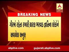 ગીરમાં રહેતા રબારી, ચારણ, ભરવાડ જાતિના લોકોને અપાયેલા અનુસૂચિત જાતિના પ્રમાણપત્ર માન્ય રહેશે