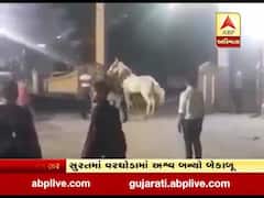 સુરતઃ લગ્નના વરઘોડામાં ઘોડો બન્યો બેકાબૂ, જુઓ વીડિયો