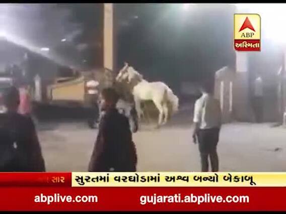 સુરતઃ લગ્નના વરઘોડામાં ઘોડો બન્યો બેકાબૂ, જુઓ વીડિયો