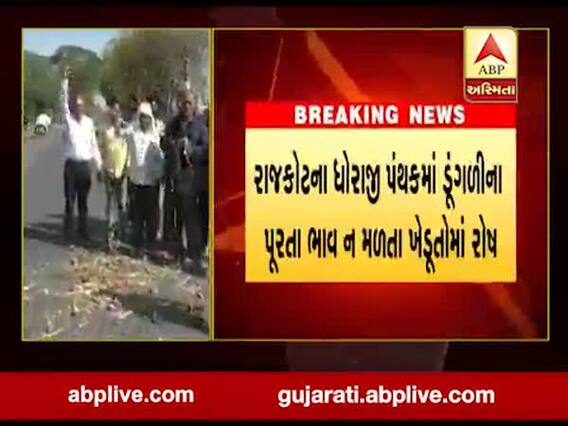 રાજકોટઃ ડુંગળીના પુરતા ભાવ ના મળતા ધોરાજીના ખેડૂતોએ ડુંગળી રૉડ પર ફેંકીને વિરોધ નોંધાવ્યો, જુઓ વીડિયો 