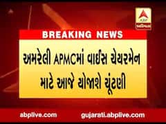 અમરેલી APMCમાં વાઇસ ચેરમેન માટે ચૂંટણી યોજાશે, જુઓ વીડિયો
