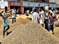 જૂનાગઢ પછી ભેંસાણ માર્કેટ યાર્ડમાં મગફળીમાં કૌભાંડની શક્યતા, જુઓ વીડિયો