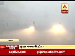 મધ્ય ગુજરાતના વાતાવરણમાં પલટો, સવારથી જોવા મળ્યું ધુમ્મસવાળું વાતાવરણ, જુઓ વીડિયો