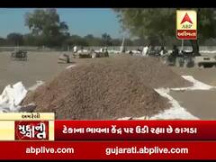 મુદ્દાની વાતઃ મગફળીના મળી રહ્યા છે આકર્ષક ભાવ, જુઓ અહેવાલ