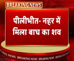 पीलीभीतः नहर में मिला बाघ का शव, वन विभाग में मचा हड़कंप | ABP Ganga