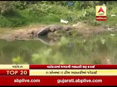 વડોદરામાં શરૂ કરાઈ મગરોની ગણતરી, 500 જેટલી સંખ્યા હોવાનો અંદાજ, જુઓ વીડિયો