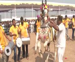 Deogad Khandoba Yatra | देवगडच्या यात्रेत घोड्यांच्या नृत्य स्पर्धेचा जोश | स्पेशल रिपोर्ट