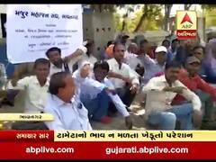 ભાવનગરના અલંગમાં પરપ્રાંતિય મજૂરોના એક દિવસીય ધરણા, જુઓ વીડિયો 