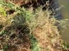 ઉત્તર ગુજરાત પછી સૌરાષ્ટ્રની નર્મદા કેનાલમાં ગાબડું, જુઓ વીડિયો