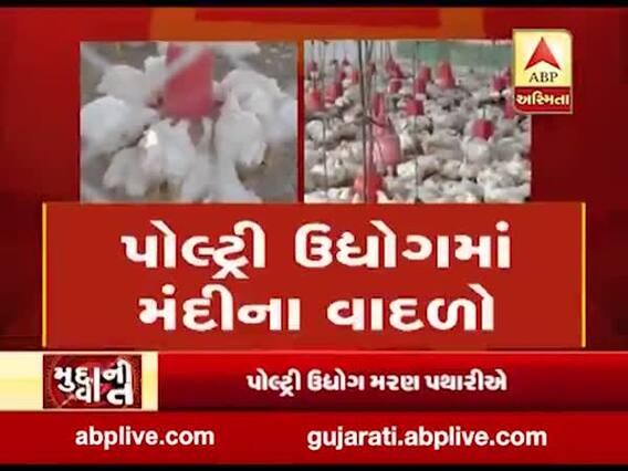 મુદ્દાની વાતઃ પોલ્ટ્રી ઉદ્યોગમાં મંદીના વાદળો, જુઓ અહેવાલ 