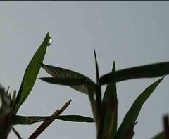 Reporter Stories: আজ কলকাতার সর্বনিম্ন তাপমাত্রা ১৩ দশমিক ৫ ডিগ্রি সেলসিয়াস, আগামীকালও থাকবে শীতের আমেজ