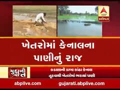 મુદ્દાની વાતઃ ખેતરોમાં કેનાલના પાણી, જુઓ અહેવાલ 