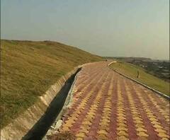 Reporter Stories: জঞ্জালে ভরা ধাপা সবুজায়নে হল ‘পাহাড়’