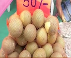 Chikoo Festival | पालघरमध्ये चिकू फेस्टिवलला सुरुवात, महोत्सवात विविध प्रकारचे 180 स्टॉल | ABP Majha