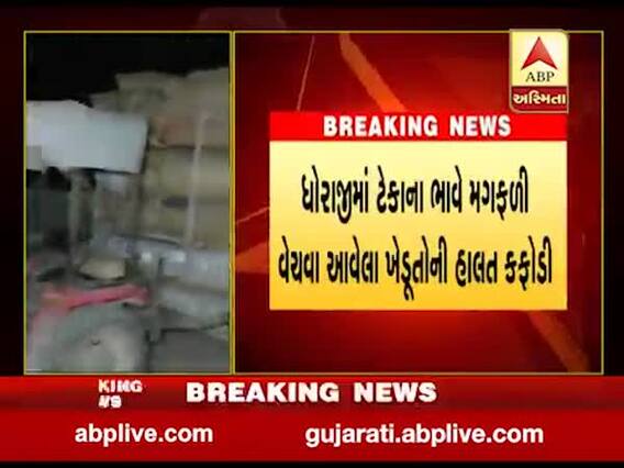 ધોરાજીઃ ટેકાના ભાવે મગફળી વેચવા આવતા ખેડૂતોની હાલત કફોડી બની, જુઓ વીડિયો