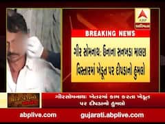 ઉનામાં ખેડૂત પર દીપડાએ કરી દીધો હુમલો, જુઓ વીડિયો