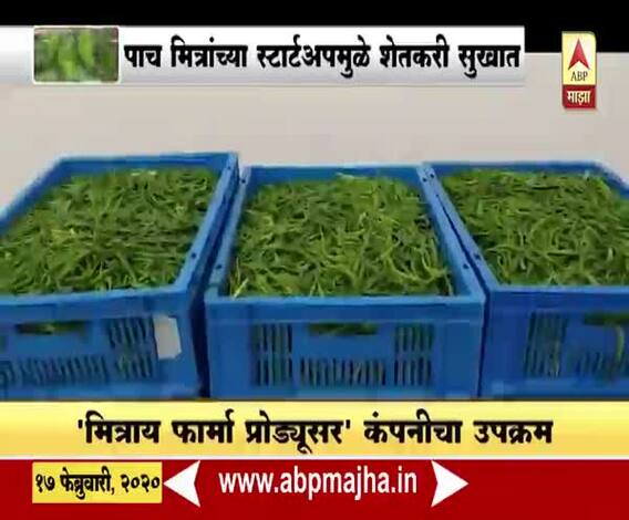 Special Report | भंडाऱ्यातल्या मिरच्या दुबईच्या बाजारात, पाच मित्रांच्या स्टार्टअपमुळे शेतकरी सुखात | ABP Majha 