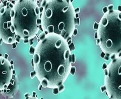 Corona Virus | बिनधास्त खा चिकन! चिकन खाल्ल्याने कोरोनाची लागण होत नसल्याचं पशुपालन आयुक्तांकडून स्पष्ट 