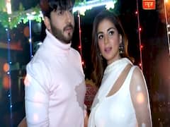 Kundali Bhagya: Watch how Karan & Preeta celebrated V-Day 