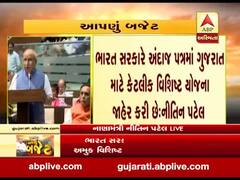 રાજ્યમાં નેશનલ પોલીસ યુનિવર્સિટી અંગે નીતિન પટેલે શું વાત કરી, જુઓ વીડિયો 