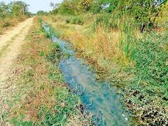 મુદ્દાની વાતઃ કેનાલના પાણીથી નુકસાન, જુઓ અહેવાલ