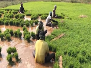 How is India benefited by Budget 2020? | Bharat Ki Baat Budget Edition