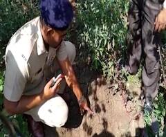 Panvel | पनवेलच्या गावांमध्ये बिबट्याची दहशत; भितीमुळे अंधार पडल्यावर रस्त्यांवर शुकशुकाट 