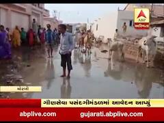 મોરબીના હળવદ કુંભારપરા વિસ્તારમાં ગટરનું પાણી ઉભરાતા મહિલાઓમાં રોષ,જુઓ વીડિયો