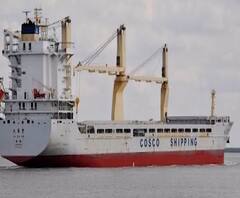 Gujrat | गुजरातच्या कांडला बंदरावर चीनमधून पाकिस्तानच्या दिशेनं जाणारं जहाज पकडलं | ABP Majha