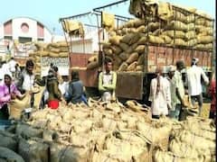 રાજકોટઃ મચ્છરોના ઉપદ્રવને લઈ બેડી માર્કેટ યાર્ડમાં સોમવારથી હડતાળની ચિમકી, જુઓ વીડિયો 