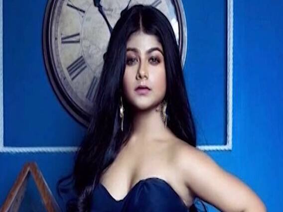 Barrister Babu: Pallavi Mukherjee to enter the show soon