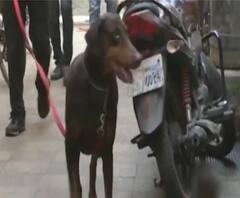 Bhiwandi Theft | बंदुकीच्या धाकाने दागिने लुटणाऱ्या दोघांना अटक, कोट्यवधींचे दागिने पोलिसांकडून हस्तगत