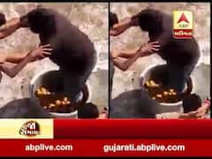 સોલા સિવિલ હોસ્પિટલની મેસ ફરીથી થઈ ધમધમતી, જુઓ વીડિયો