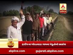 પાટણઃ પાણી વિના ઉભો પાક સુકાવવાના આરે, બોરતવાડાના ખેડૂતોએ આંદોલન કરવાની આપી ચિમકી, જુઓ વીડિયો