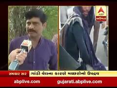 રાજકોટ માર્કેટિંગ યાર્ટમાં મચ્છરોના ત્રાસથી વેપારીઓ, ખેડૂતો, મજૂરો પરેશાન, જુઓ વીડિયો