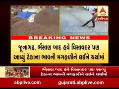 જૂનાગઢઃ વિસાવદરમાં ચોરાઇ ટેકાના ભાવે ખરીદાયેલી મગફળી, સામે આવ્યા સીસીટીવી